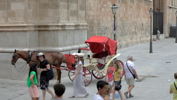 Palma de Mallorca, A pleasure coach. — Stock Video