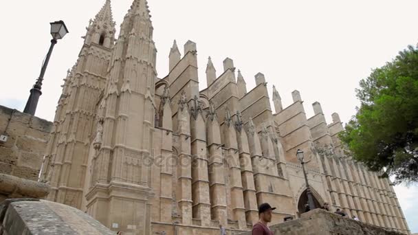 Katedralen i Santa Maria Palma de Mallorca — Stockvideo