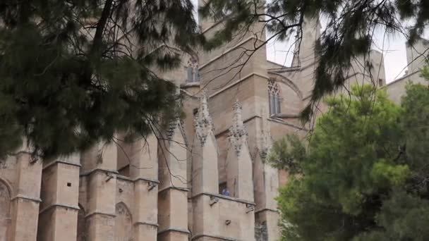 Santa Maria Palma de Mallorca Katedrali — Stok video
