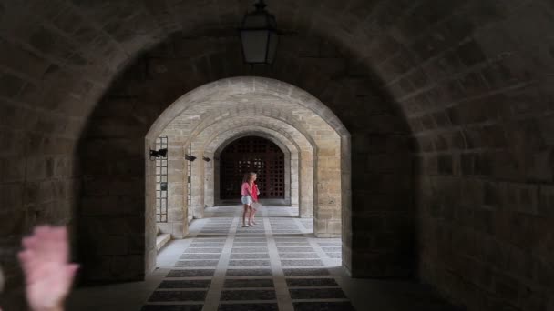 La Almudaina Palace Palma de Mallorca — Stock video