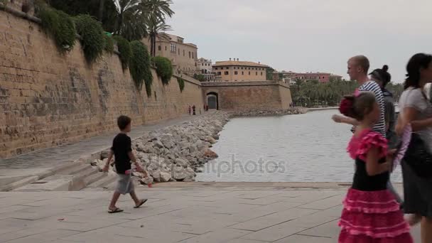 Palma de Maiorca, Espanha, Ilhas Baleares — Vídeo de Stock