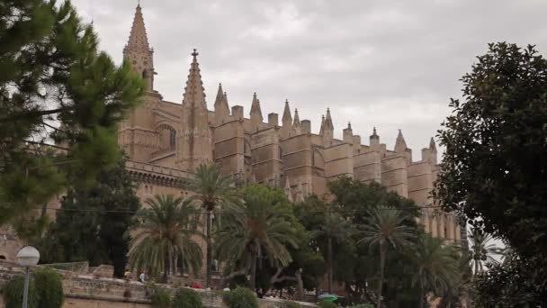 Katedralen i Santa Maria Palma de Mallorca — Stockvideo