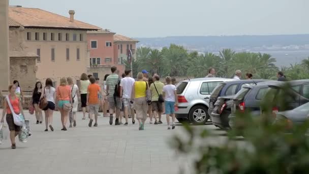 La Almudaina Palace Palma de Mallorca — Stockvideo