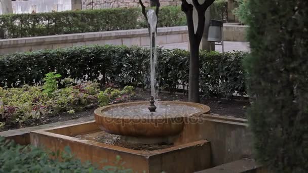 Trädgårdar och fontäner nära det palatset La Almudaina Palma de Mallorca — Stockvideo