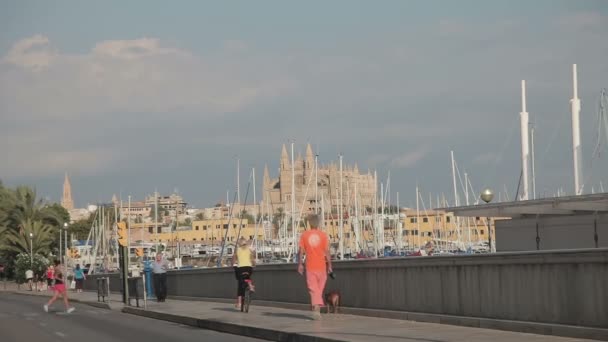 Katedralen i Santa Maria Palma de Mallorca — Stockvideo