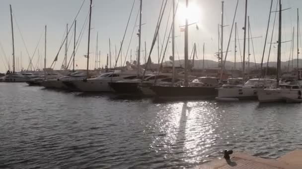 Embankment, yacht parking Palma de Mallorca — Stock Video