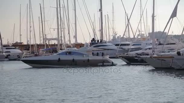 Набережная, стоянка яхт Palma de Mallorca — стоковое видео