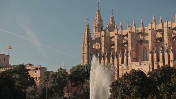 Katedralen i Santa Maria Palma de Mallorca — Stockvideo