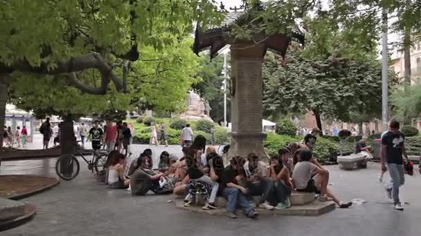 Skupina mladých lidí, kteří mají na odpočinek v městském parku. — Stock video