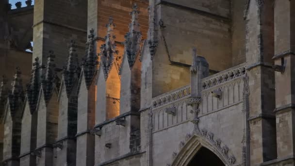 Catedral de Santa Mar a Palma de Mallorca — Vídeo de stock