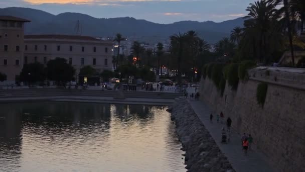 Estanque con una fuente junto al Palacio de la Almudaina — Vídeo de stock