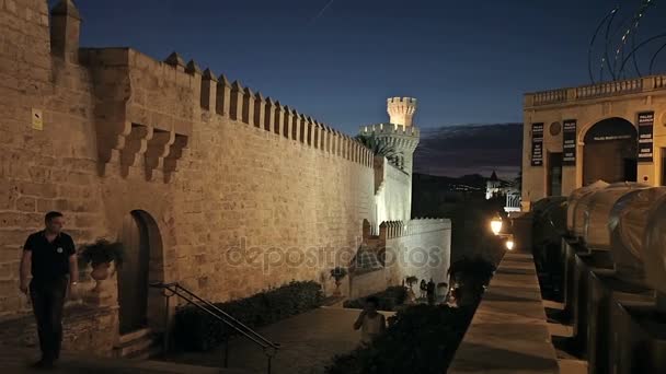 Catedral de Santa Mar a Palma de Mallorca — Vídeo de stock