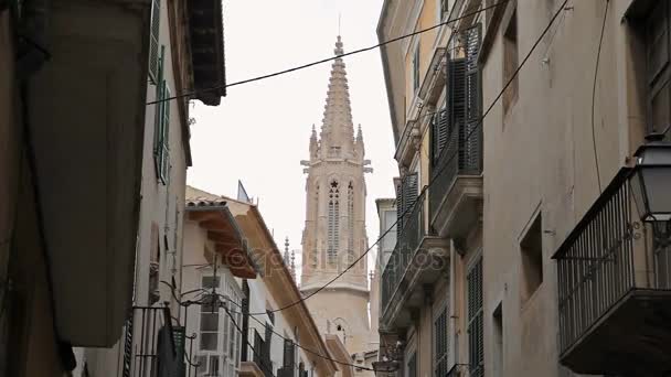 Катедраль-де-Санта-Мария-Пальма-де-Майорка — стоковое видео