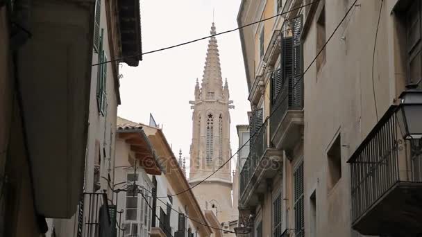 Katedralen i Santa Maria Palma de Mallorca — Stockvideo