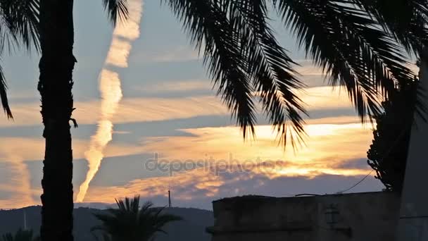 Palma de Maiorca, céu noturno sobre a cidade . — Vídeo de Stock