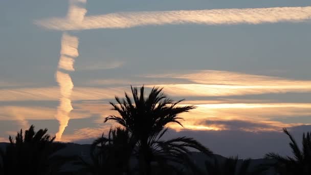 Palma de Mallorca, kvällshimlen över staden. — Stockvideo