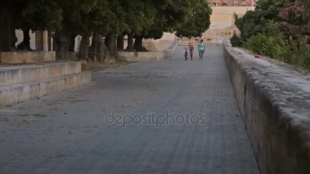 La Almudaina Palace squares — Stock video