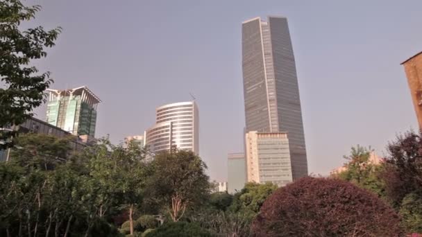 City park Shanghai — Stockvideo