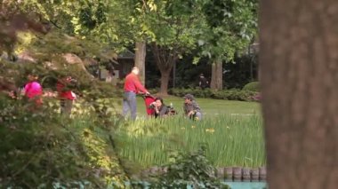 Şehir Parkı Shanghai
