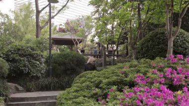 Şehir Parkı Shanghai