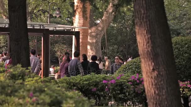 Городской парк Шанхая — стоковое видео