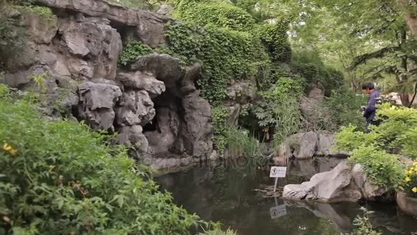 上海城市公园 — 图库视频影像