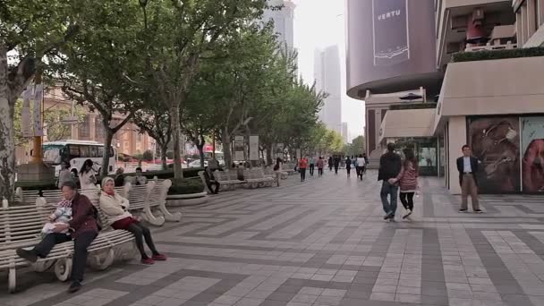 Standbeelden en fonteinen van de stad. — Stockvideo