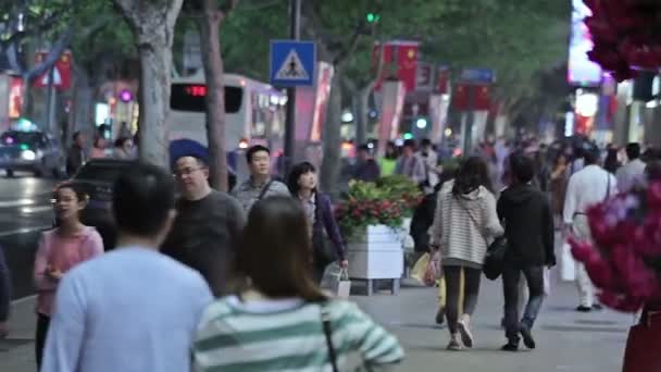 Ruas noturnas de Xangai . — Vídeo de Stock