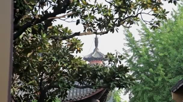 Longhua Temple Shanghai — Stockvideo