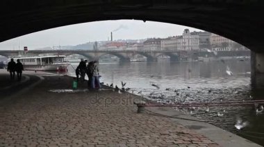 Rıhtımda nehirler.