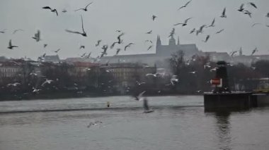 Rıhtımda nehirler.