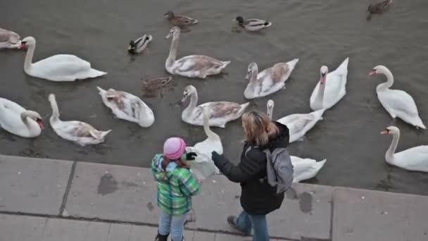 The Quay on the rivers. — Stock Video