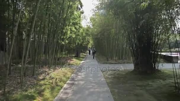 龙华烈士陵园 — 图库视频影像