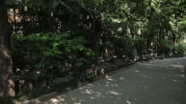 uzun hua Şehitler mezarlığı