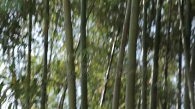 uzun hua Şehitler mezarlığı