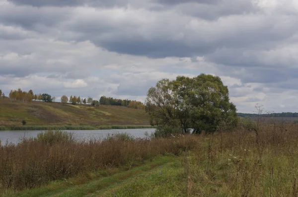 Autumn the nature on the bank of a pond 1 — Stock Photo, Image