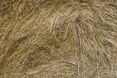 Arka yüzey kuru saman