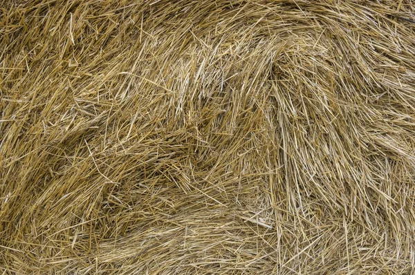 Arka yüzey kuru saman