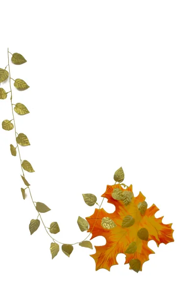 Ahornblatt mit Rahmen — Stockfoto