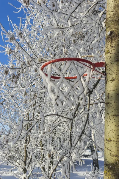 Basketball basket covered with snow — Stock Photo, Image
