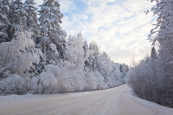 森林里被雪覆盖的道路 — 图库照片