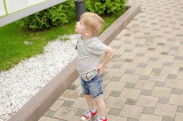 Small baby boy is having fun in the park — Stock Photo, Image