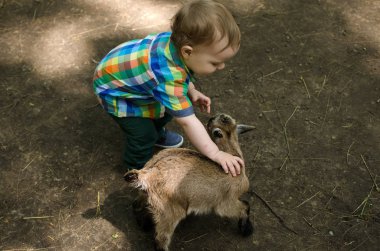 Küçük bir bebek hayvanlar ile oynuyor