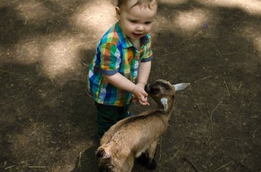 Küçük bir bebek hayvanlar ile oynuyor