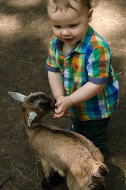 Küçük bir bebek hayvanlar ile oynuyor