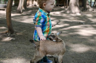 Küçük bir bebek hayvanlar ile oynuyor