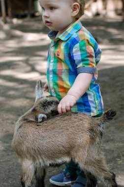 Küçük bir bebek hayvanlar ile oynuyor
