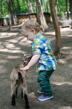 Küçük bir bebek hayvanlar ile oynuyor
