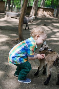 Küçük bir bebek hayvanlar ile oynuyor