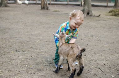 Küçük bir bebek hayvanlar ile oynuyor